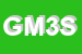 logo della GLOBAL MANAGEMENT 3000 SRL IN SIGLA GM3 SRL