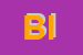 logo della BELDIMAN ION