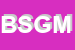 logo della BM SNC DI GIUSEPPE MASSA E C