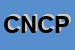 logo della COMPUTING NEWS DI CHIRICOSTA PAOLO